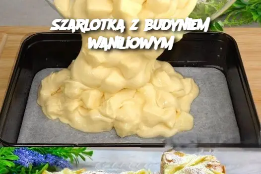 Szarlotka z budyniem waniliowym