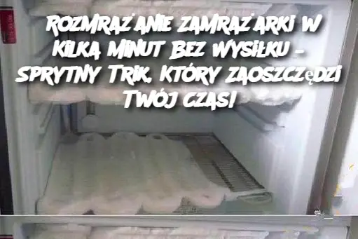 Rozmrażanie Zamrażarki w Kilka Minut Bez Wysiłku – Sprytny Trik, Który Zaoszczędzi Twój Czas!