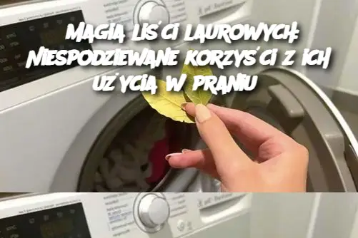 Magia liści laurowych: Niespodziewane korzyści z ich użycia w praniu