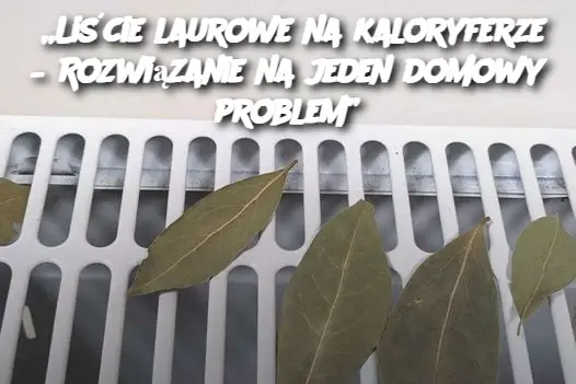 „Liście laurowe na kaloryferze – Rozwiązanie na jeden domowy problem”