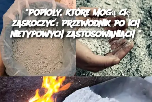 “Popioły, które mogą cię zaskoczyć: Przewodnik po ich nietypowych zastosowaniach”