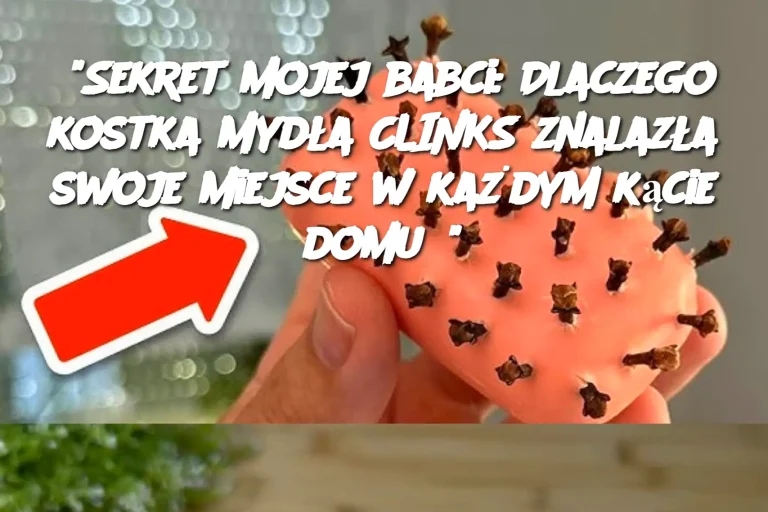 “Sekret mojej babci: Dlaczego kostka mydła CLINKS znalazła swoje miejsce w każdym kącie domu?”