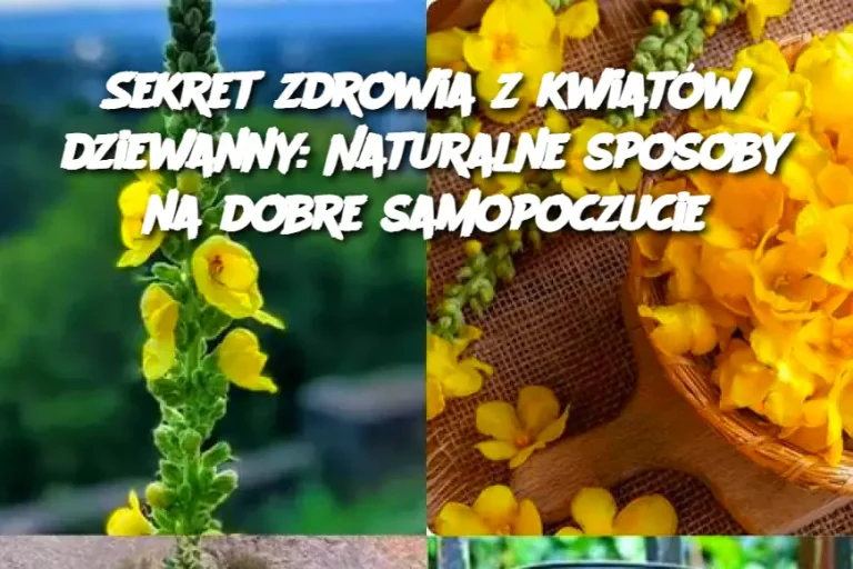 Sekret zdrowia z kwiatów dziewanny: Naturalne sposoby na dobre samopoczucie