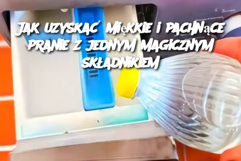 Jak uzyskać miękkie i pachnące pranie z jednym magicznym składnikiem