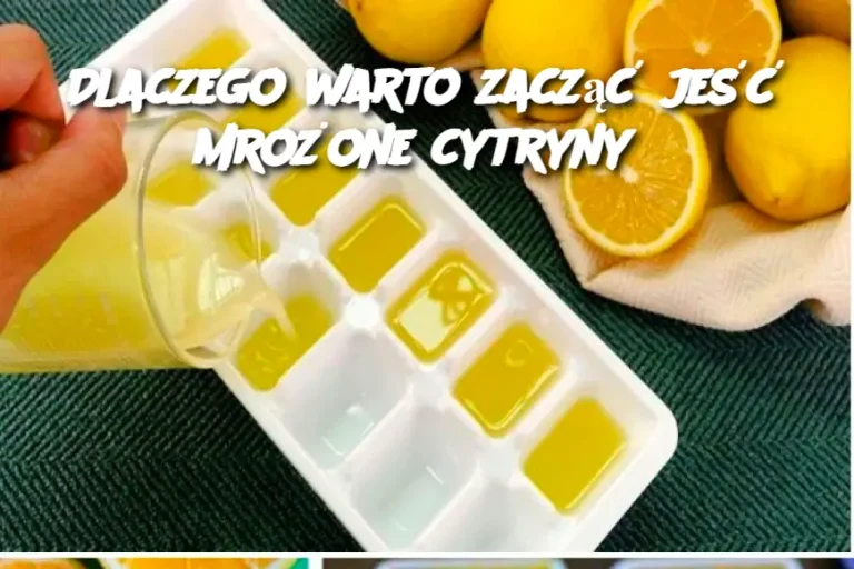 Dlaczego warto zacząć jeść mrożone cytryny?