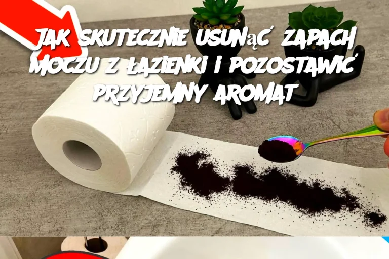 Jak skutecznie usunąć zapach moczu z łazienki i pozostawić przyjemny aromat