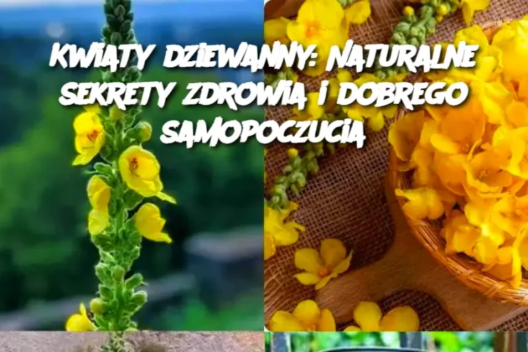 Kwiaty dziewanny: Naturalne sekrety zdrowia i dobrego samopoczucia