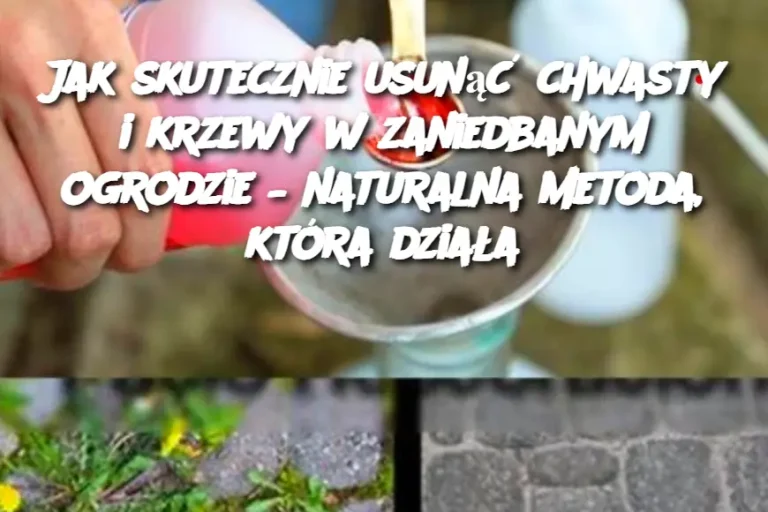 Jak skutecznie usunąć chwasty i krzewy w zaniedbanym ogrodzie – naturalna metoda, która działa