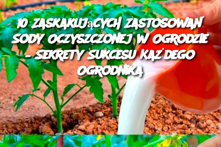 10 Zaskakujących Zastosowań Sody Oczyszczonej w Ogrodzie – Sekrety Sukcesu Każdego Ogrodnika