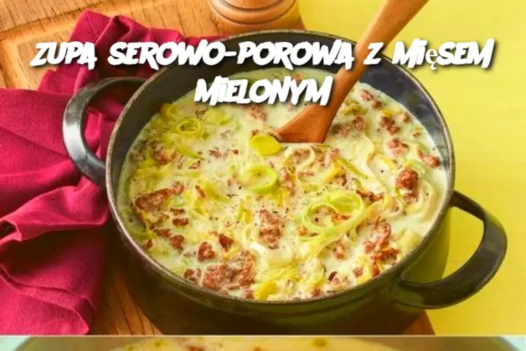 Zupa serowo-porowa z mięsem mielonym