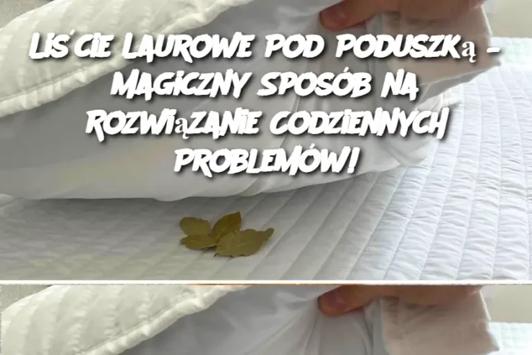 Liście Laurowe Pod Poduszką – Magiczny Sposób na Rozwiązanie Codziennych Problemów!