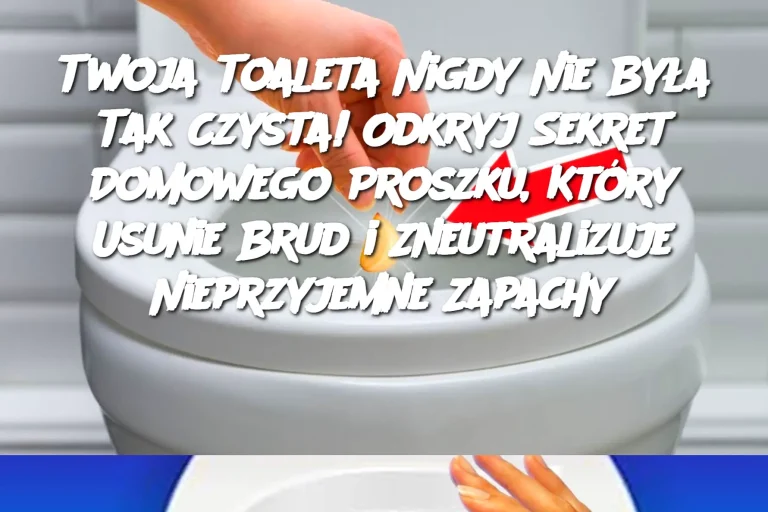 Twoja Toaleta Nigdy Nie Była Tak Czysta! Odkryj Sekret Domowego Proszku, Który Usunie Brud i Zneutralizuje Nieprzyjemne Zapachy