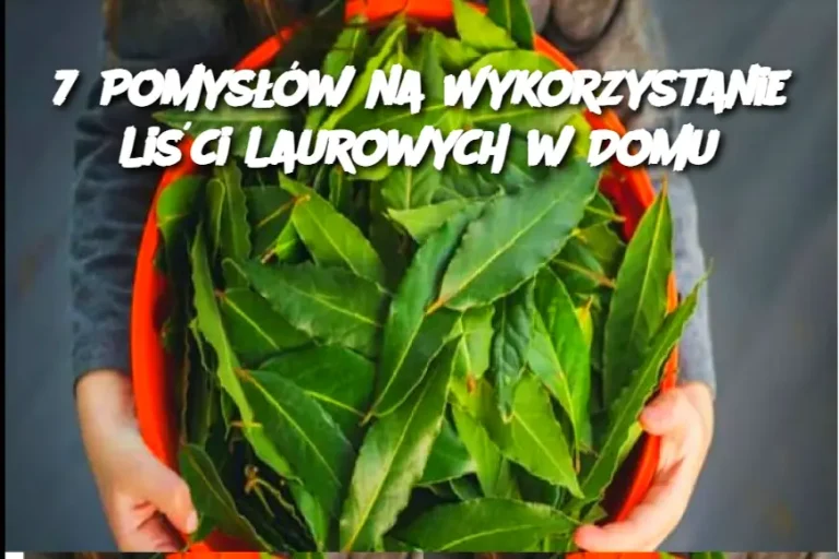 7 Pomysłów na Wykorzystanie Liści Laurowych w Domu