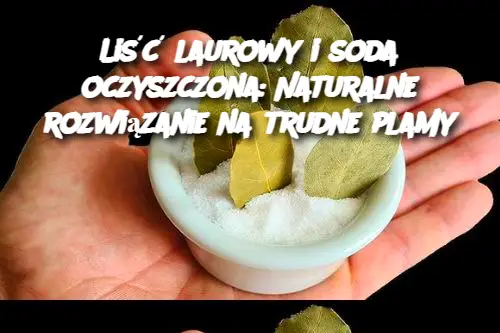 Liść laurowy i soda oczyszczona: Naturalne rozwiązanie na trudne plamy