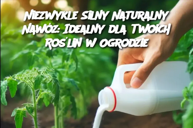 Niezwykle Silny Naturalny Nawóz: Idealny dla Twoich Roślin w Ogrodzie