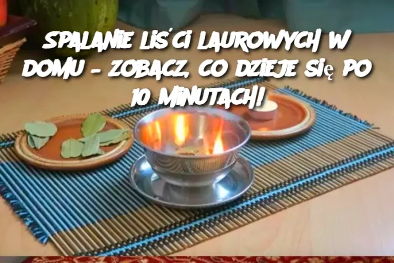 Spalanie liści laurowych w domu – zobacz, co dzieje się po 10 minutach!