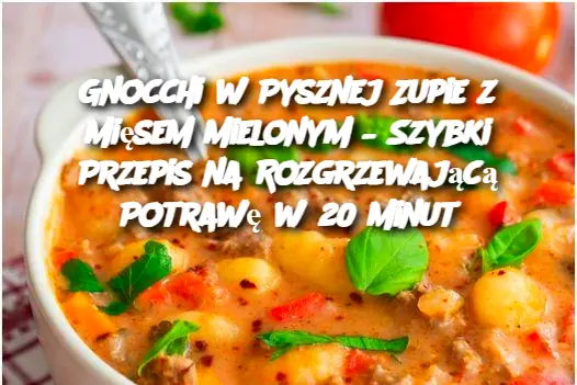 Gnocchi w Pysznej Zupie z Mięsem Mielonym – Szybki Przepis na Rozgrzewającą Potrawę w 20 Minut