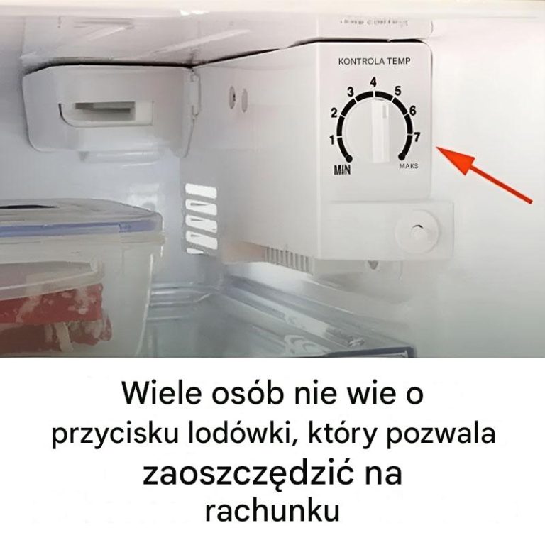 Tajemniczy przycisk w Twojej lodówce – odkryj sekret oszczędzania energii i zmniejsz rachunki!