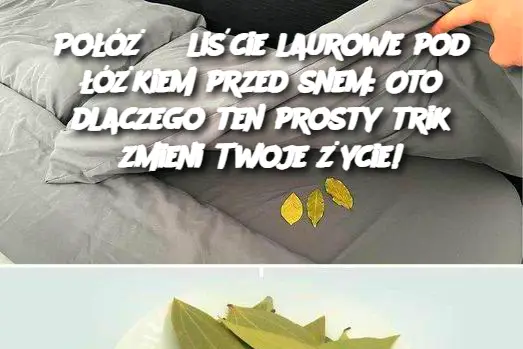 Połóż 3 liście laurowe pod łóżkiem przed snem: Oto dlaczego ten prosty trik zmieni Twoje życie!