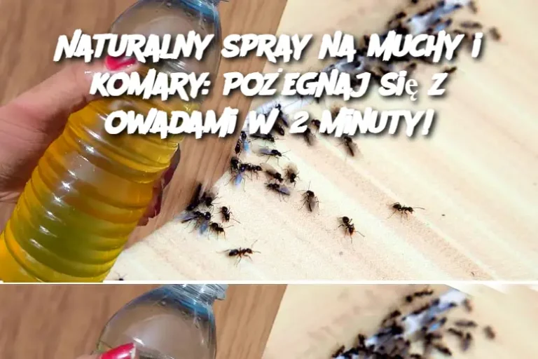 Naturalny spray na muchy i komary: Pożegnaj się z owadami w 2 minuty!