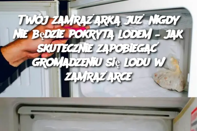 Twój zamrażarka już nigdy nie będzie pokryta lodem – jak skutecznie zapobiegać gromadzeniu się lodu w zamrażarce