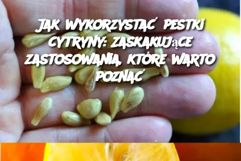 Jak wykorzystać pestki cytryny: Zaskakujące zastosowania, które warto poznać