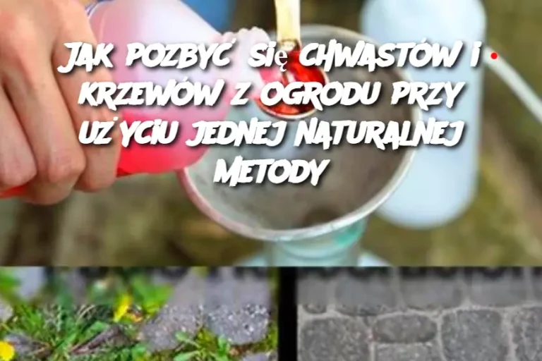 Jak pozbyć się chwastów i krzewów z ogrodu przy użyciu jednej naturalnej metody