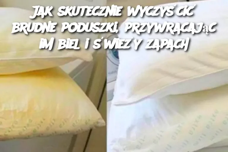 Jak skutecznie wyczyścić brudne poduszki, przywracając im biel i świeży zapach