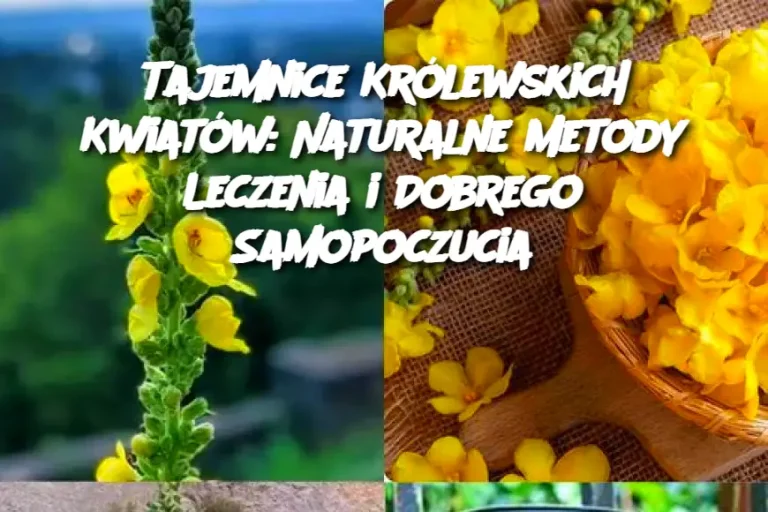 Tajemnice Królewskich Kwiatów: Naturalne Metody Leczenia i Dobrego Samopoczucia