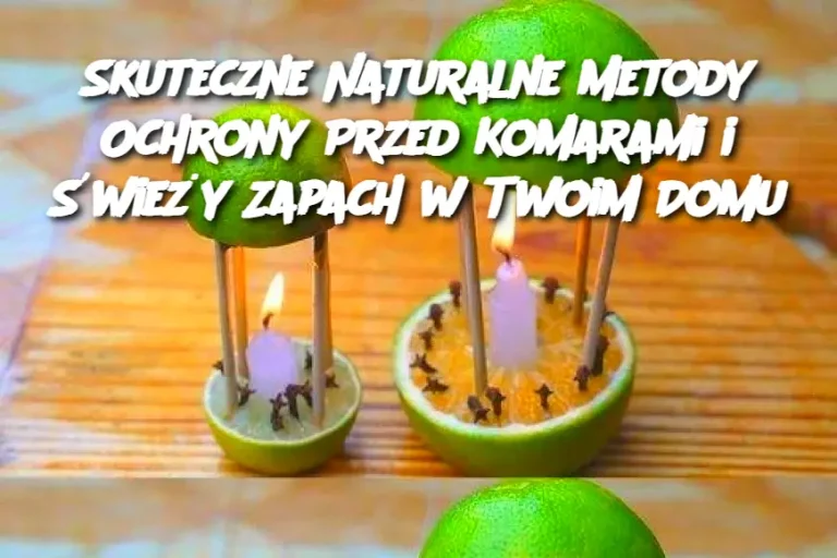 Skuteczne Naturalne Metody Ochrony Przed Komarami i Świeży Zapach w Twoim Domu