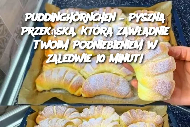 Puddinghörnchen – Pyszna Przekąska, Która Zawładnie Twoim Podniebieniem w Zaledwie 10 Minut!