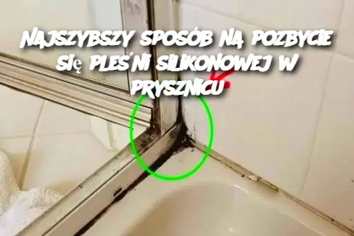 Najszybszy sposób na pozbycie się pleśni silikonowej w prysznicu