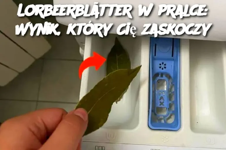 Lorbeerblätter w pralce: Wynik, który Cię zaskoczy