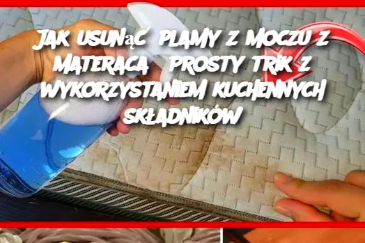 Jak usunąć plamy z moczu z materaca? Prosty trik z wykorzystaniem kuchennych składników