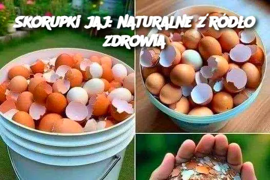 Skorupki jaj: naturalne źródło zdrowia