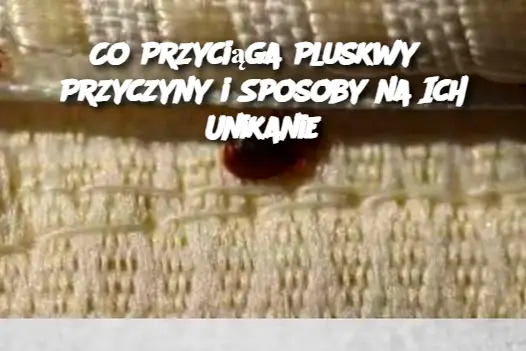 Co Przyciąga Pluskwy? Przyczyny i Sposoby na Ich Unikanie