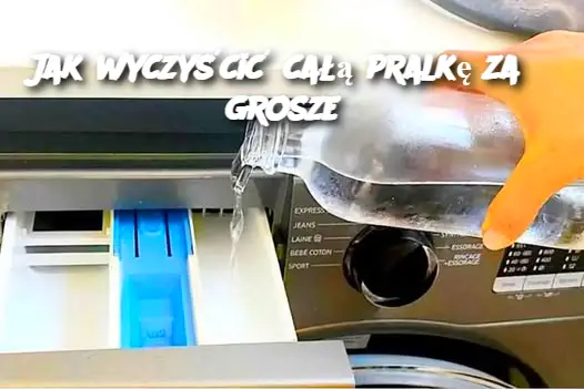 Jak wyczyścić całą pralkę za 3 grosze?