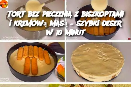 Tort bez pieczenia z biszkoptami i kremową masą – szybki deser w 10 minut