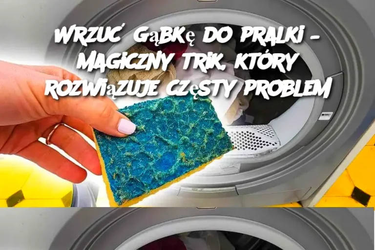 Wrzuć gąbkę do pralki – magiczny trik, który rozwiązuje częsty problem