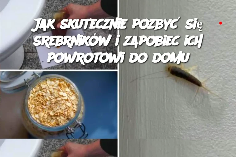 Jak skutecznie pozbyć się srebrników i zapobiec ich powrotowi do domu