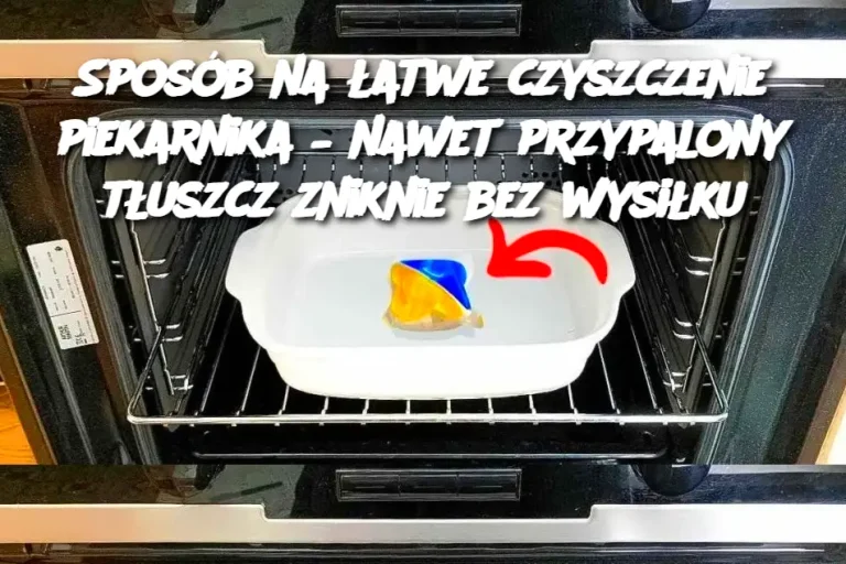 Sposób na łatwe czyszczenie piekarnika – nawet przypalony tłuszcz zniknie bez wysiłku