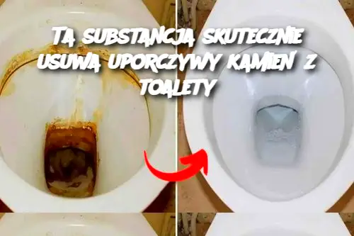 Ta substancja skutecznie usuwa uporczywy kamień z toalety