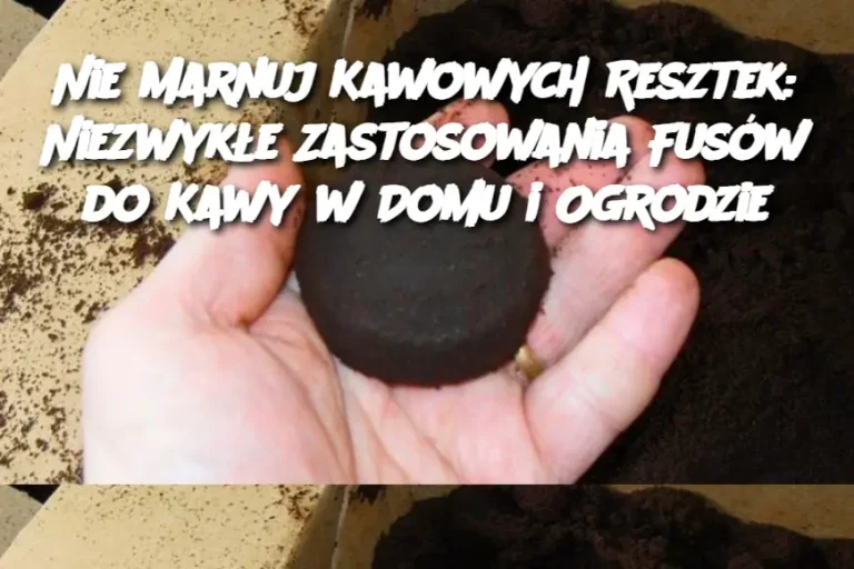 Nie Marnuj Kawowych Resztek: Niezwykłe Zastosowania Fusów do Kawy w Domu i Ogrodzie