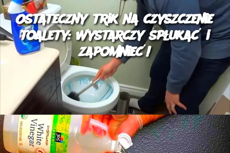 Ostateczny trik na czyszczenie toalety: Wystarczy spłukać i zapomnieć!