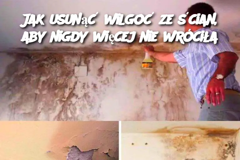 Jak usunąć wilgoć ze ścian, aby nigdy więcej nie wróciła