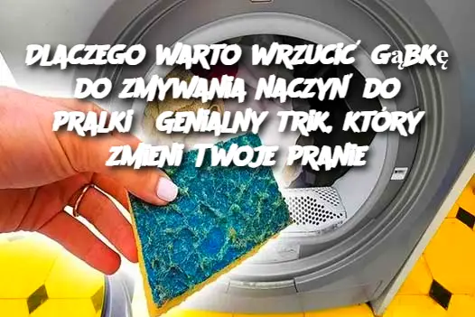 Dlaczego warto wrzucić gąbkę do zmywania naczyń do pralki? Genialny trik, który zmieni Twoje pranie