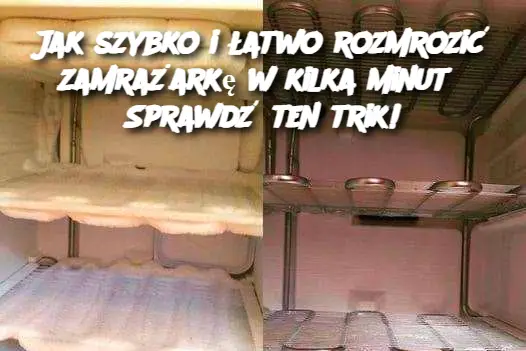 Jak szybko i łatwo rozmrozić zamrażarkę w kilka minut? Sprawdź ten trik!