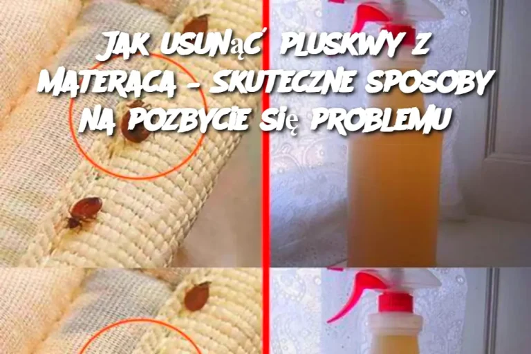 Jak usunąć pluskwy z materaca – Skuteczne sposoby na pozbycie się problemu