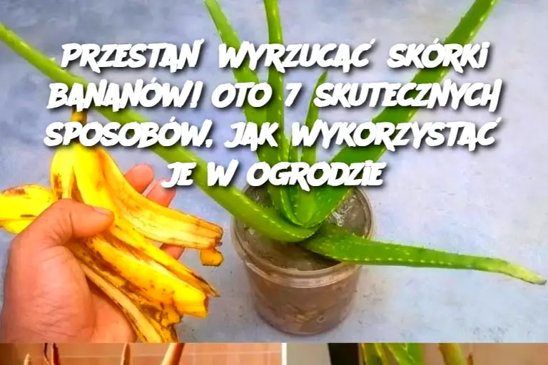 Przestań wyrzucać skórki bananów! Oto 7 skutecznych sposobów, jak wykorzystać je w ogrodzie