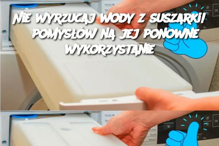 Nie wyrzucaj wody z suszarki! 8 pomysłów na jej ponowne wykorzystanie